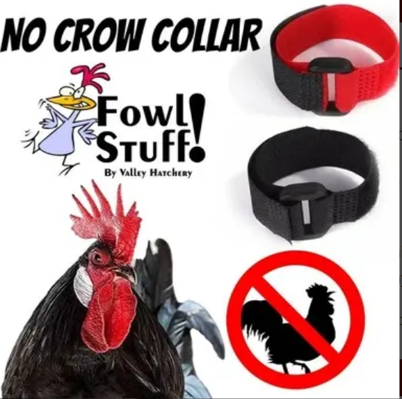 No Crow Collar (2-Pack)